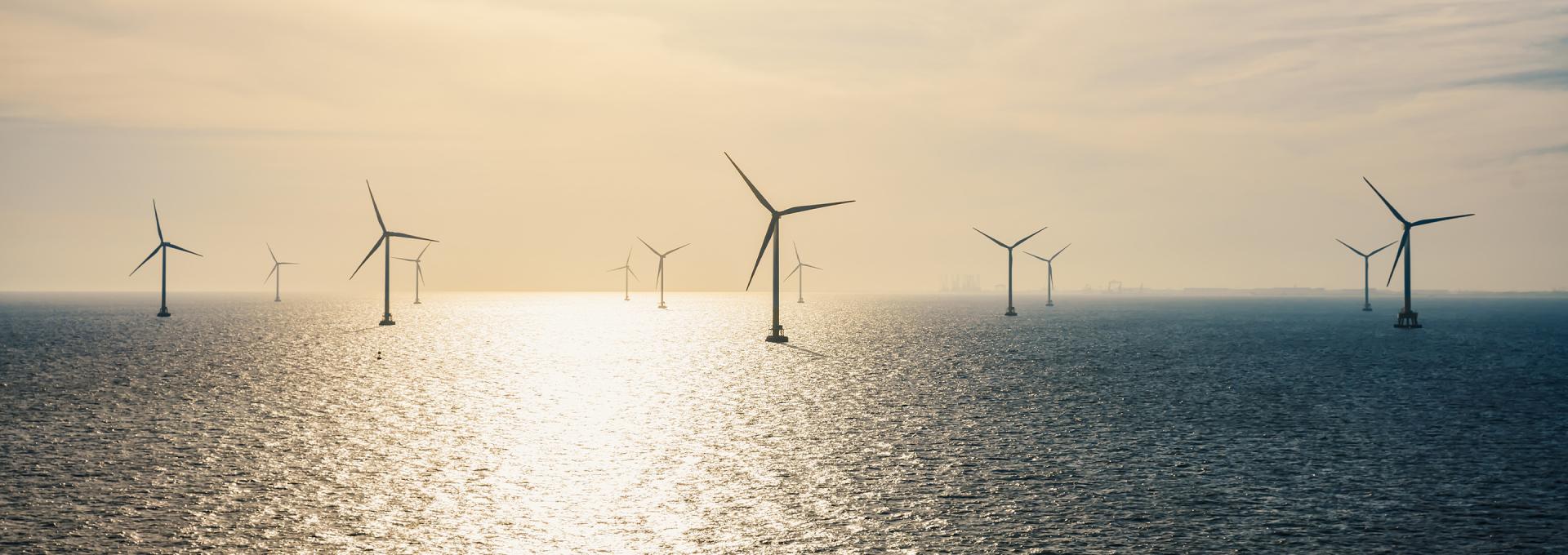 collection of wind turbines at sea